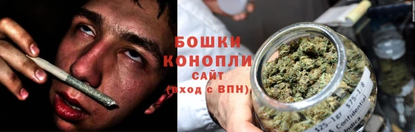 сатива Абинск