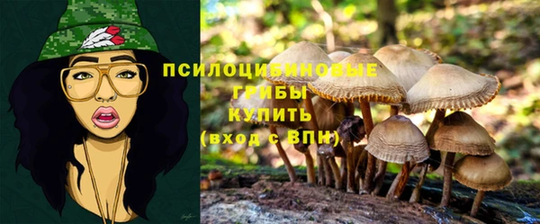 а пвп мука Алексин