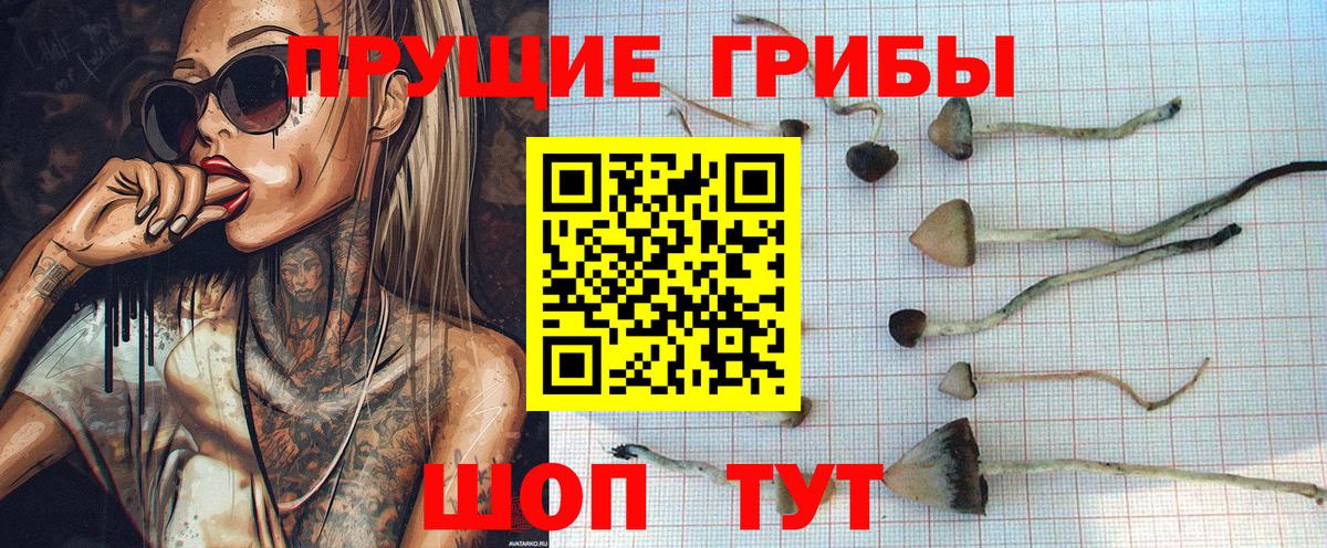 Галлюциногенные грибы GOLDEN TEACHER  Вход с VPN  Старая Русса 
