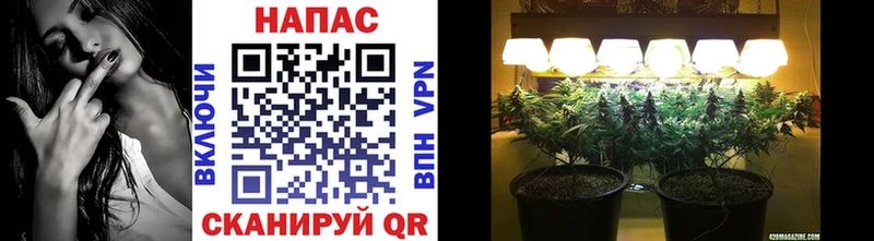 Каннабис конопля  Старая Русса 